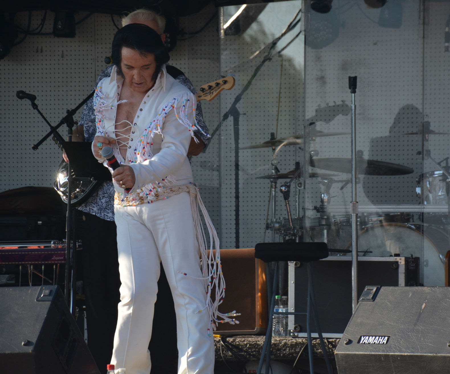 Party in the park 3